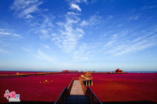 盘锦红海滩 绝对独一无二的顶级红_新浪湖北旅