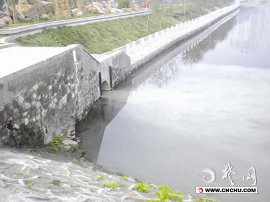 荆州武德路桥下冒白色液体 疑为石材加工厂排