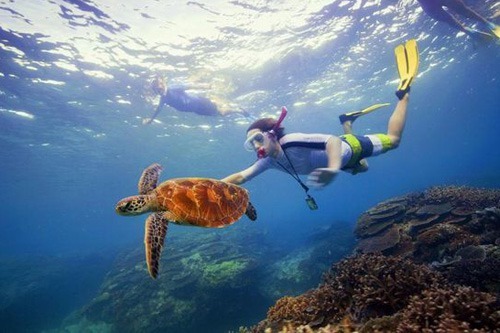 澳大利亚无敌海景 图片来源:澳大利亚旅游局