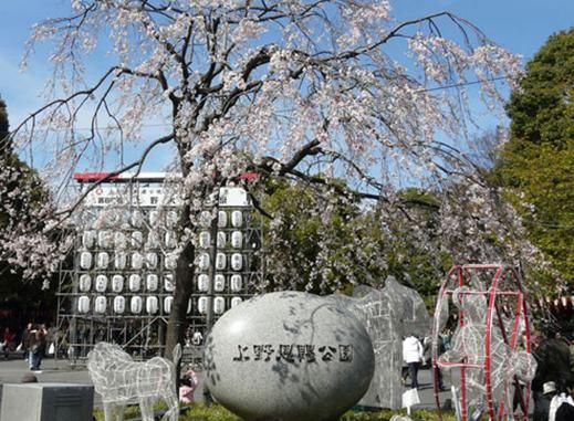 日本赏樱季 斯巴鲁赞助您2万元旅游基金_汽车