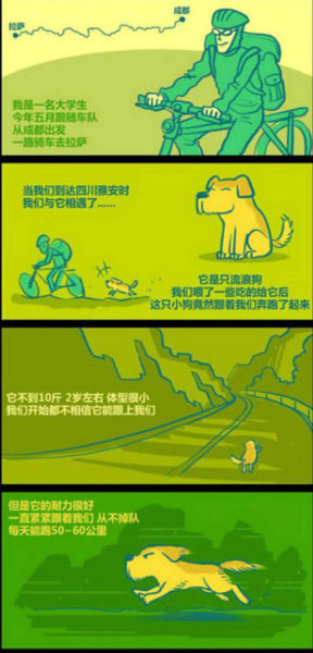一组漫画为你讲述 励志狗小萨的故事 _旅游频