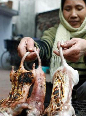 越南人爱吃老鼠肉 少女吃鼠来美容_美食频道