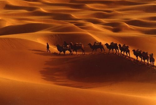 国庆拼假深入中国最大的沙漠