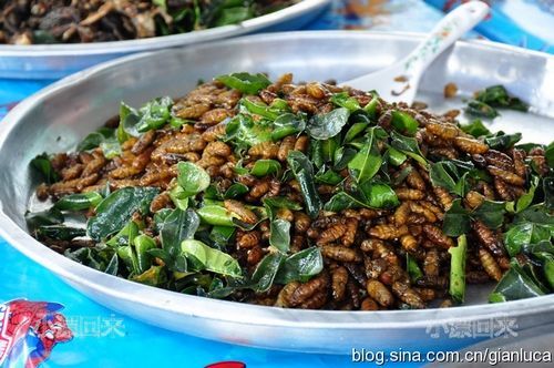 泰国人爱吃虫子 探访泰国的奇异小吃