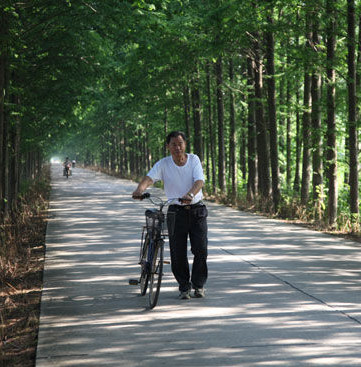2013湖南省两会特别策划:节能减排助推绿色湖