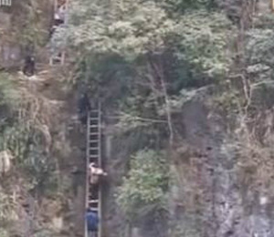 央视报道桑植农村小孩爬悬崖木梯上学