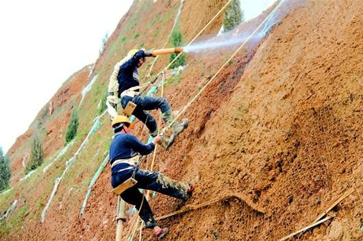 郧县专业人员攀爬绝壁播新绿 喷播植物种子(图