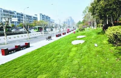 武汉3年恢复东北及南部绿色屏障 提升近郊景观