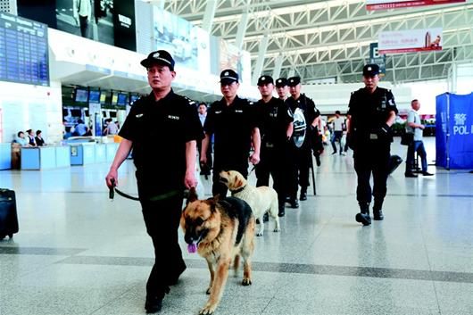 武汉公安局启用警犬进驻机场与火车站巡逻(图