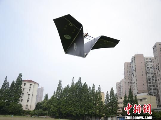 大型可遥控电动纸飞机上海首次成功试飞(图)