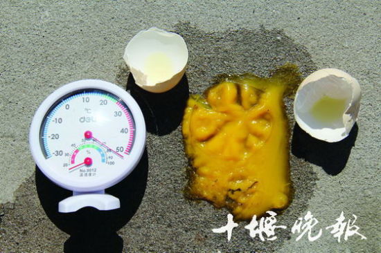 十堰郧县地表温度超50℃ 鸡蛋黄几乎被烤熟(图
