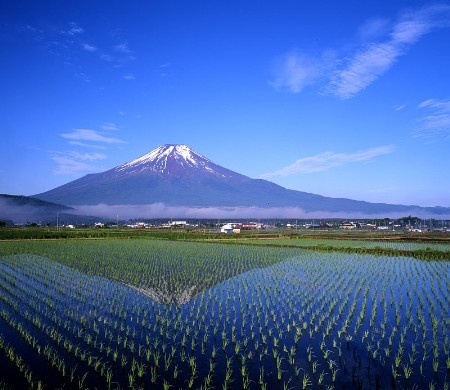 富士山下美!