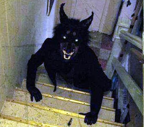 巴西疑似狼人被监控拍下 政府实施宵禁